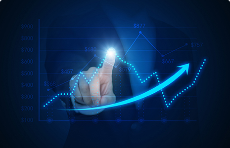 完善制度，规范流程，严格履行信息披露义务