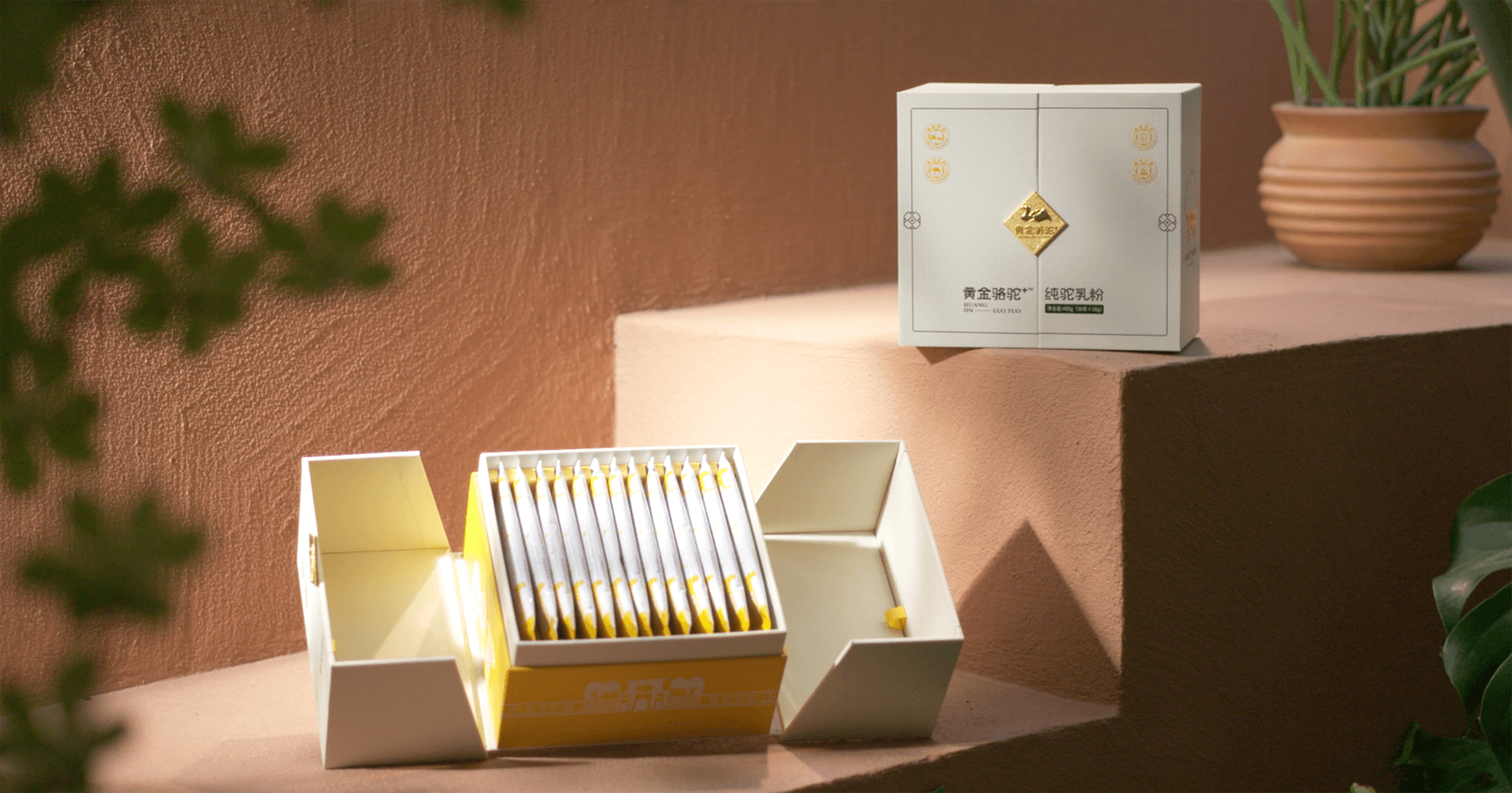 定位小众高端乳粉，jinnianhui今年会推出驼奶品牌“黄金骆驼+”，角逐乳品新市场！